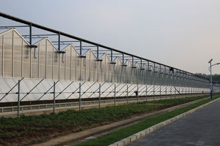 設(shè)施農(nóng)業(yè)概述 溫室與大棚的區(qū)別及利禾科技的材料與配套設(shè)施設(shè)計(jì)