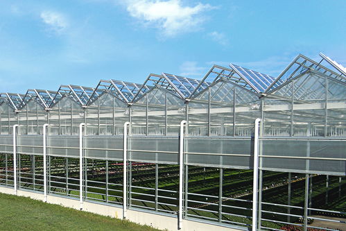 溫室的主要類型、材料選擇及配套設(shè)施設(shè)計(jì)概述